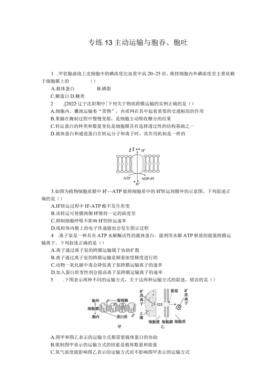 专练13主动运输与胞吞、胞吐.docx_第1页