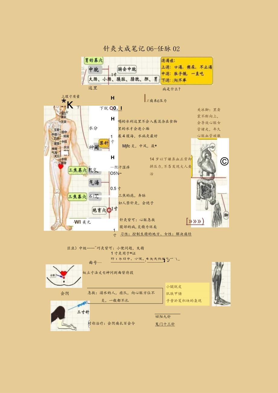 图解针灸《针灸大成笔记》倪海厦老师视频整理5之2.docx_第2页