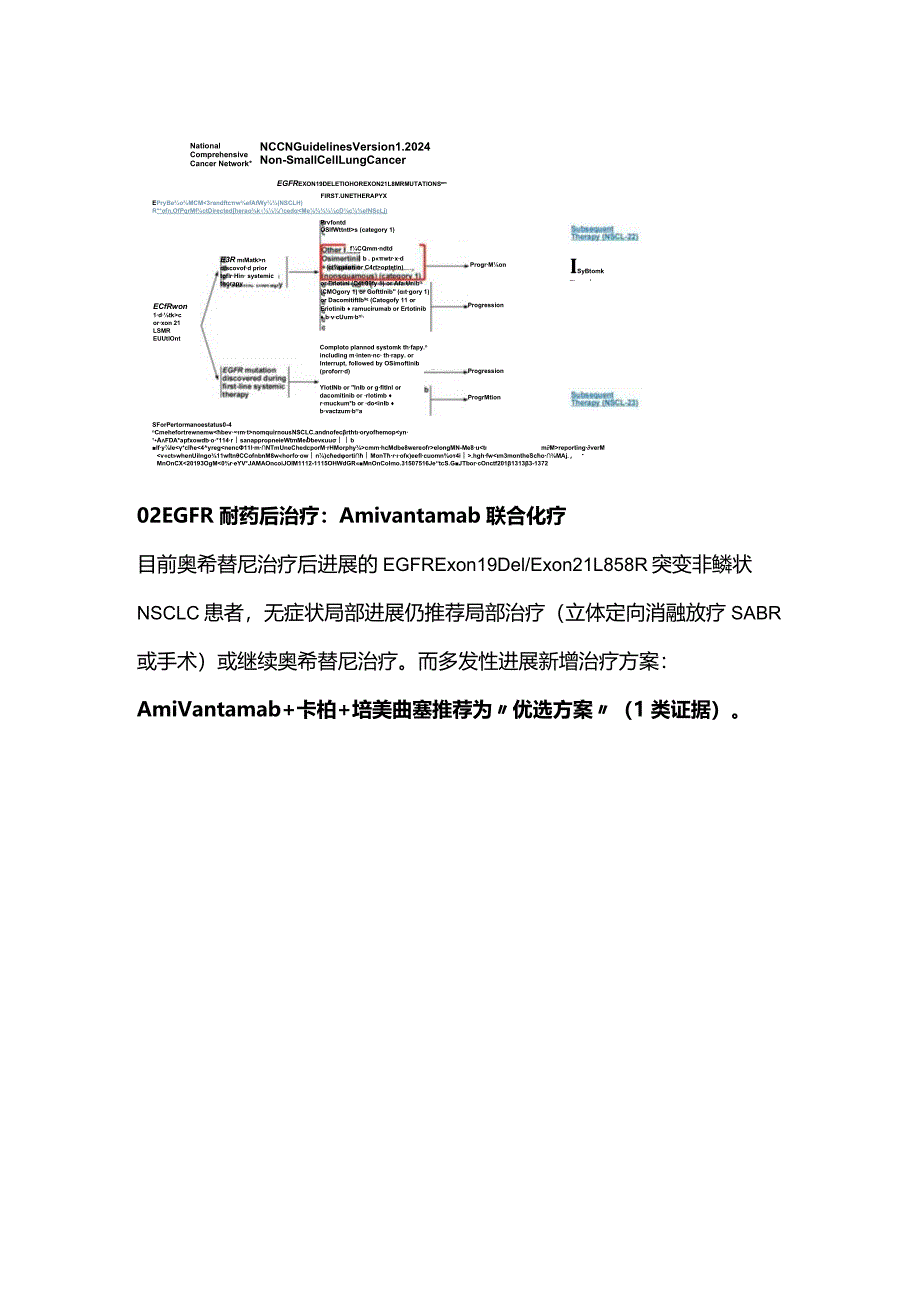 最新2024v1版NCCN非小细胞肺癌指南更新（完整版）.docx_第3页