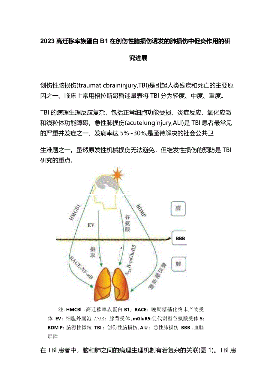 2023高迁移率族蛋白B1在创伤性脑损伤诱发的肺损伤中促炎作用的研究进展.docx_第1页