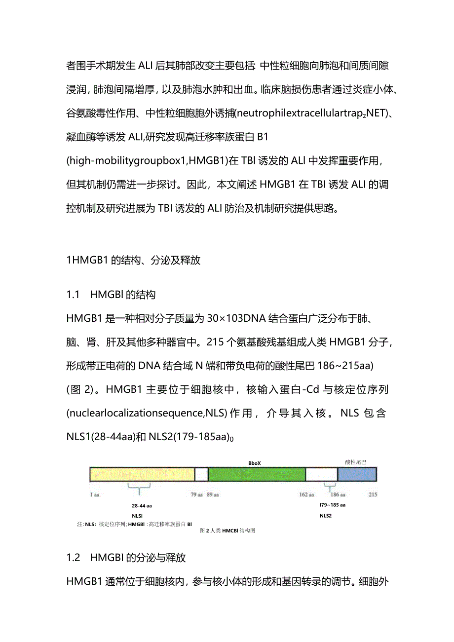 2023高迁移率族蛋白B1在创伤性脑损伤诱发的肺损伤中促炎作用的研究进展.docx_第2页