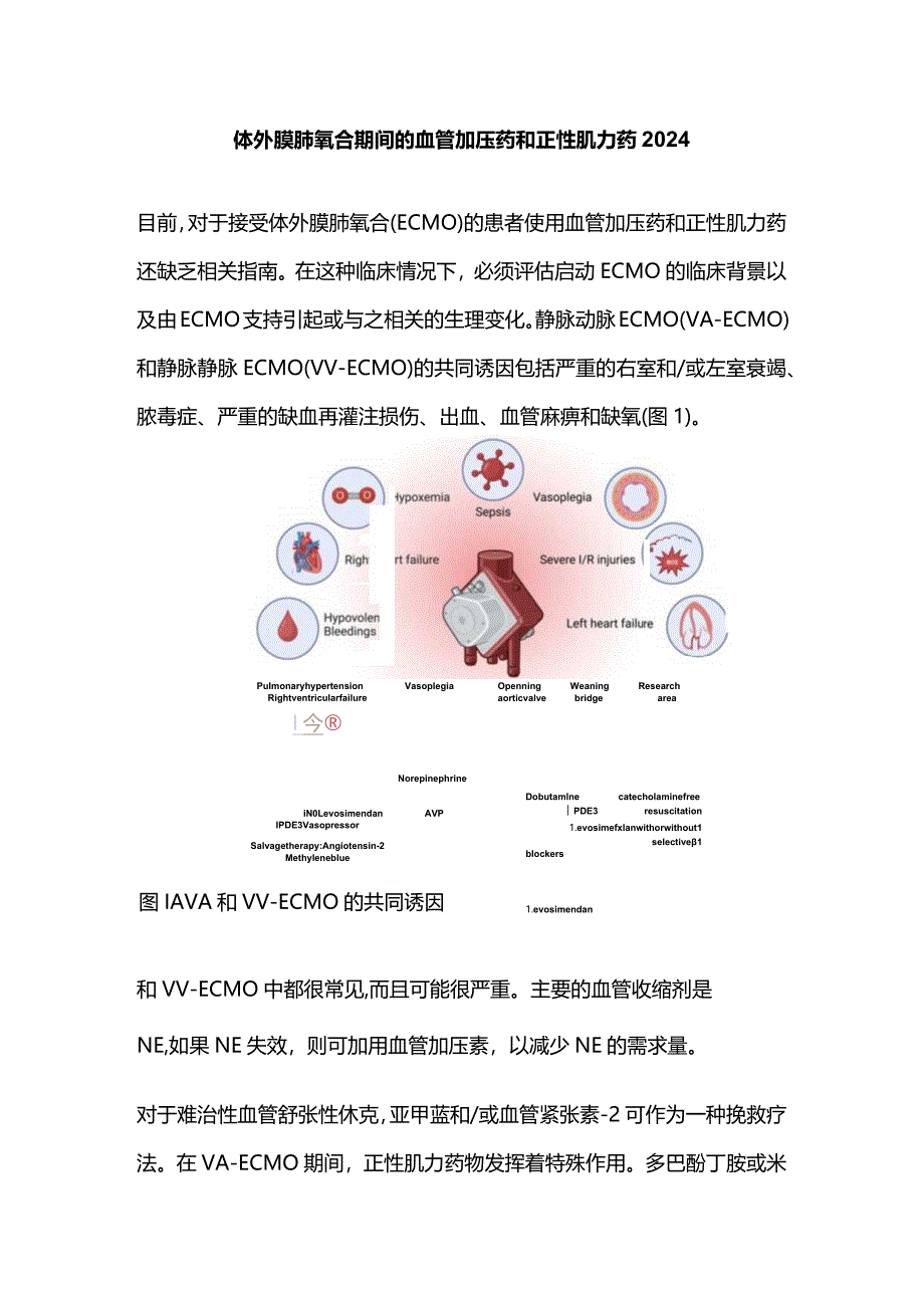 体外膜肺氧合期间的血管加压药和正性肌力药2024.docx_第1页