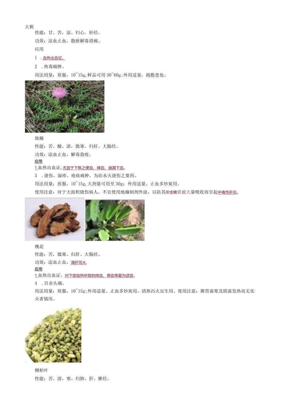 中医内科主治医师资格笔试基础知识考点解析(28)：止血药.docx_第2页