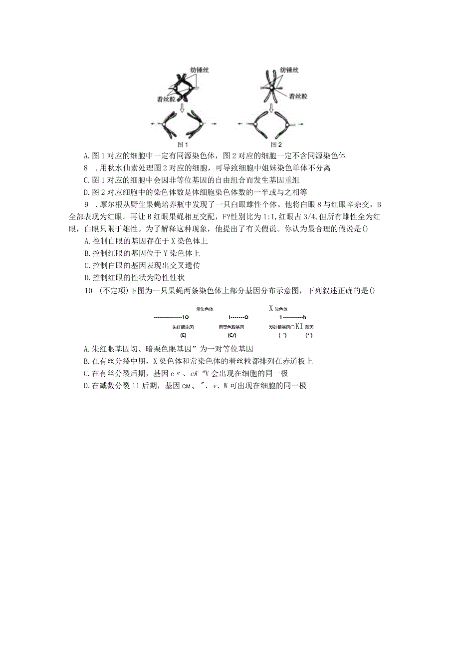 专练43基因在染色体上.docx_第2页