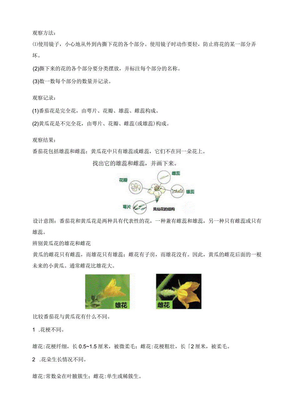 三年级科学下册（苏教版）第3课植物开花了（教学教案）.docx_第3页