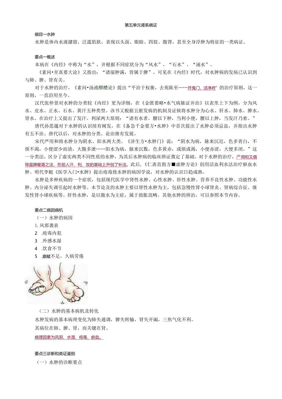 中医内科主治医师资格笔试专业实践能力考点解析(5)：肾系病证.docx_第1页