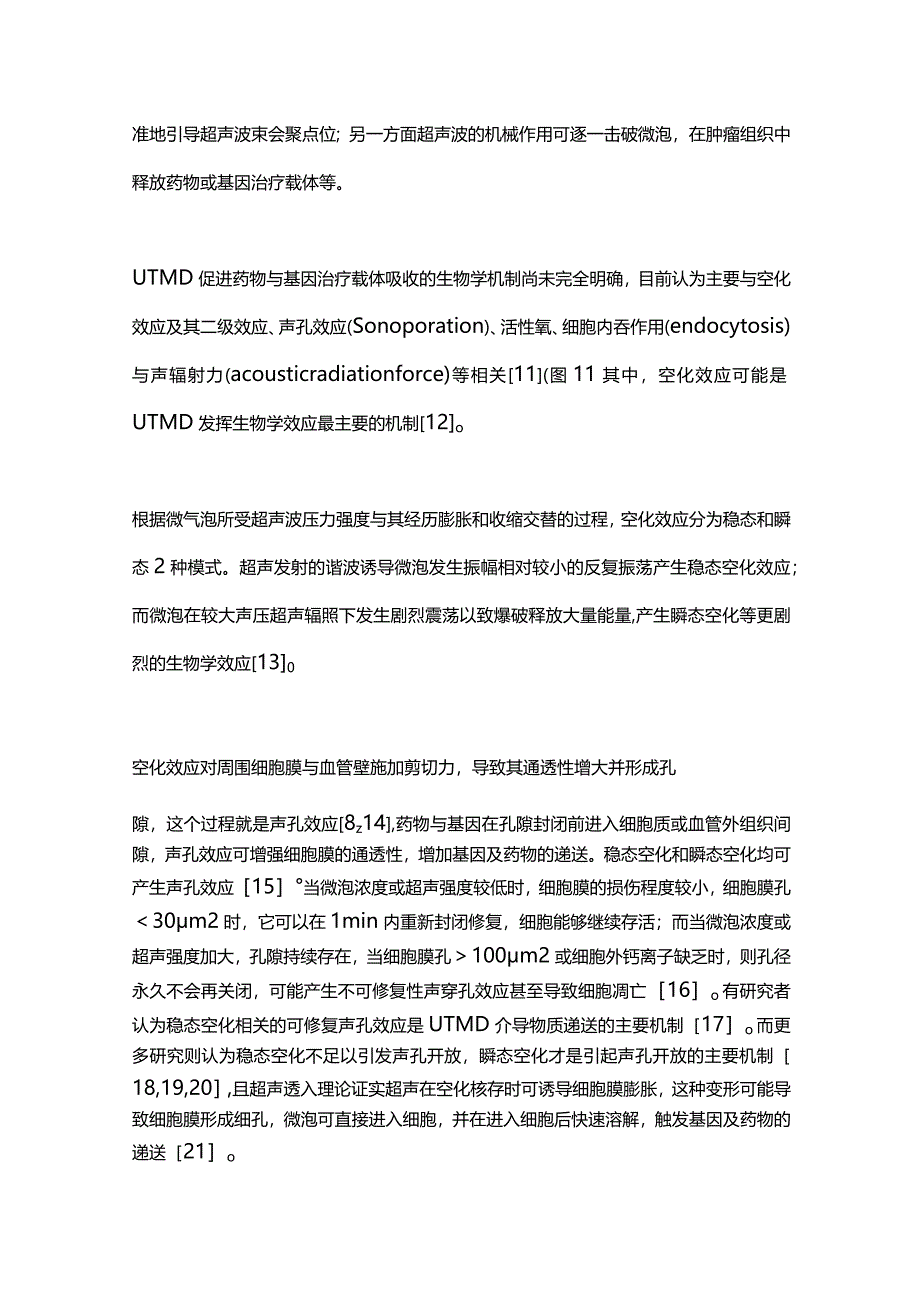 2023超声靶向微泡破坏技术在脑胶质瘤治疗中的应用进展.docx_第3页