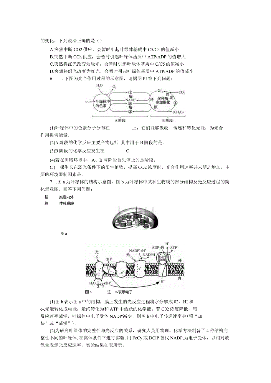 专练26光合作用的过程.docx_第2页