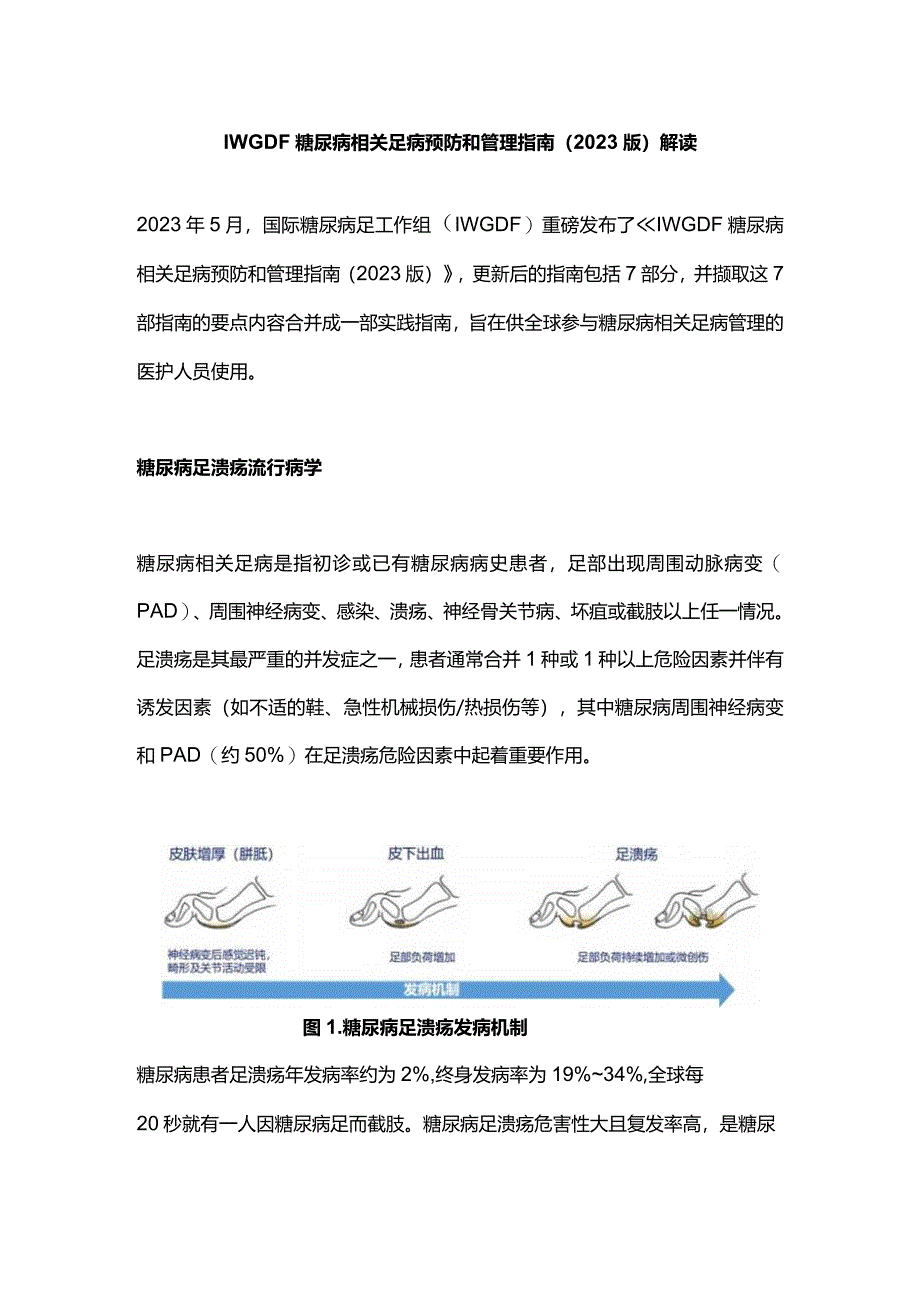 IWGDF糖尿病相关足病预防和管理指南（2023版）解读.docx_第1页