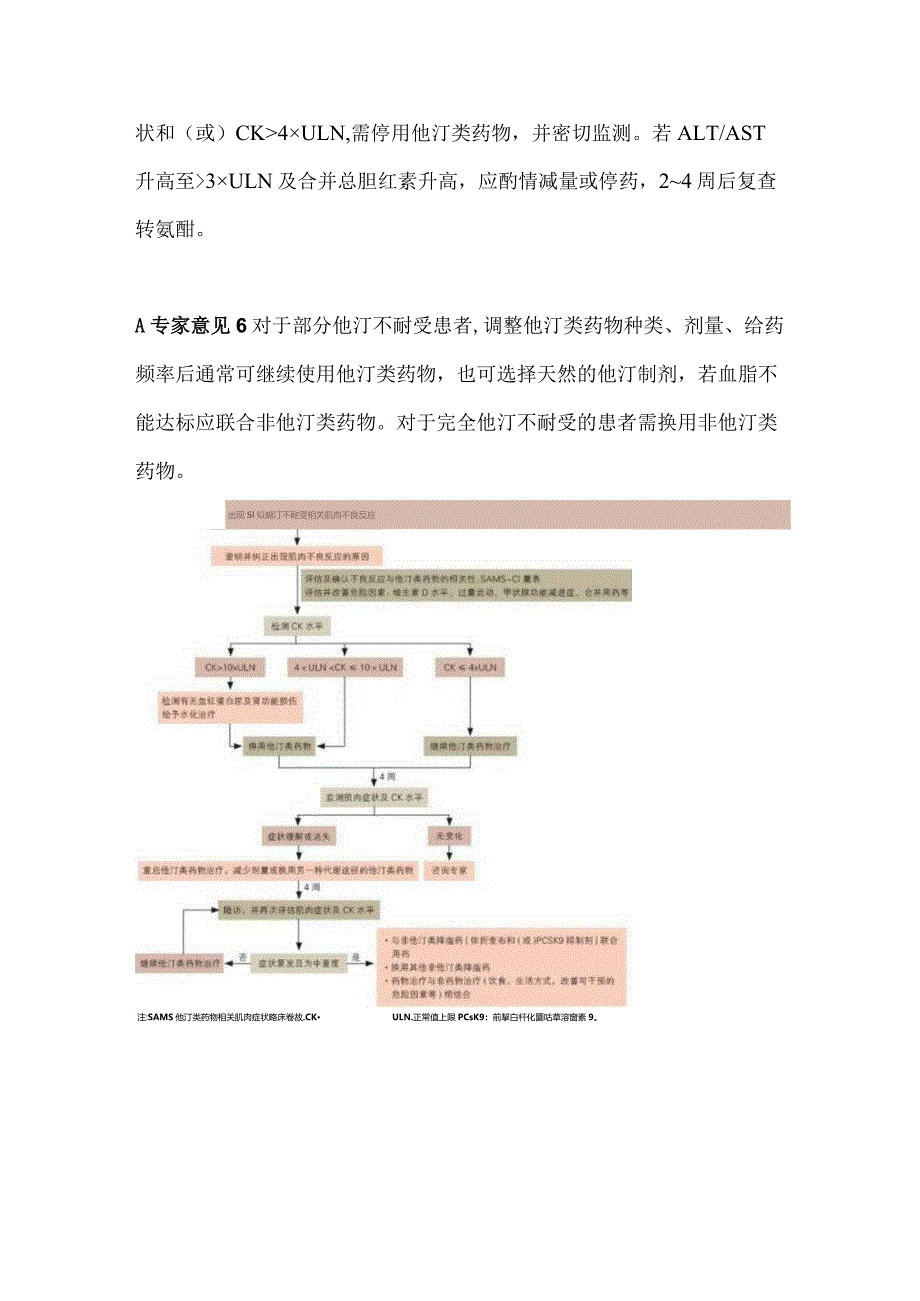 他汀不耐受的诊断和处理2024中国专家共识.docx_第3页