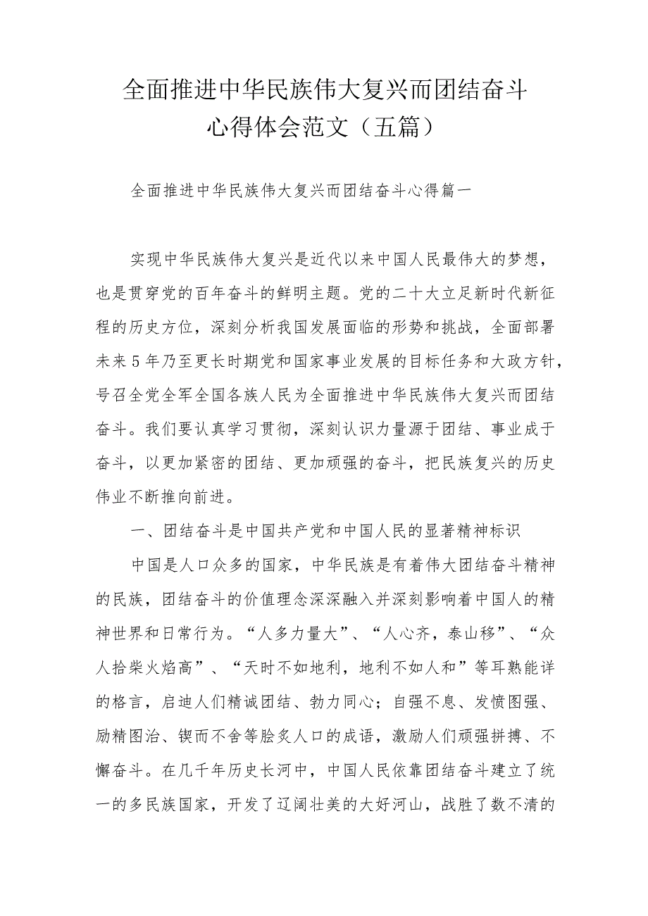 全面推进中华民族伟大复兴而团结奋斗心得体会范文（五篇）.docx_第1页