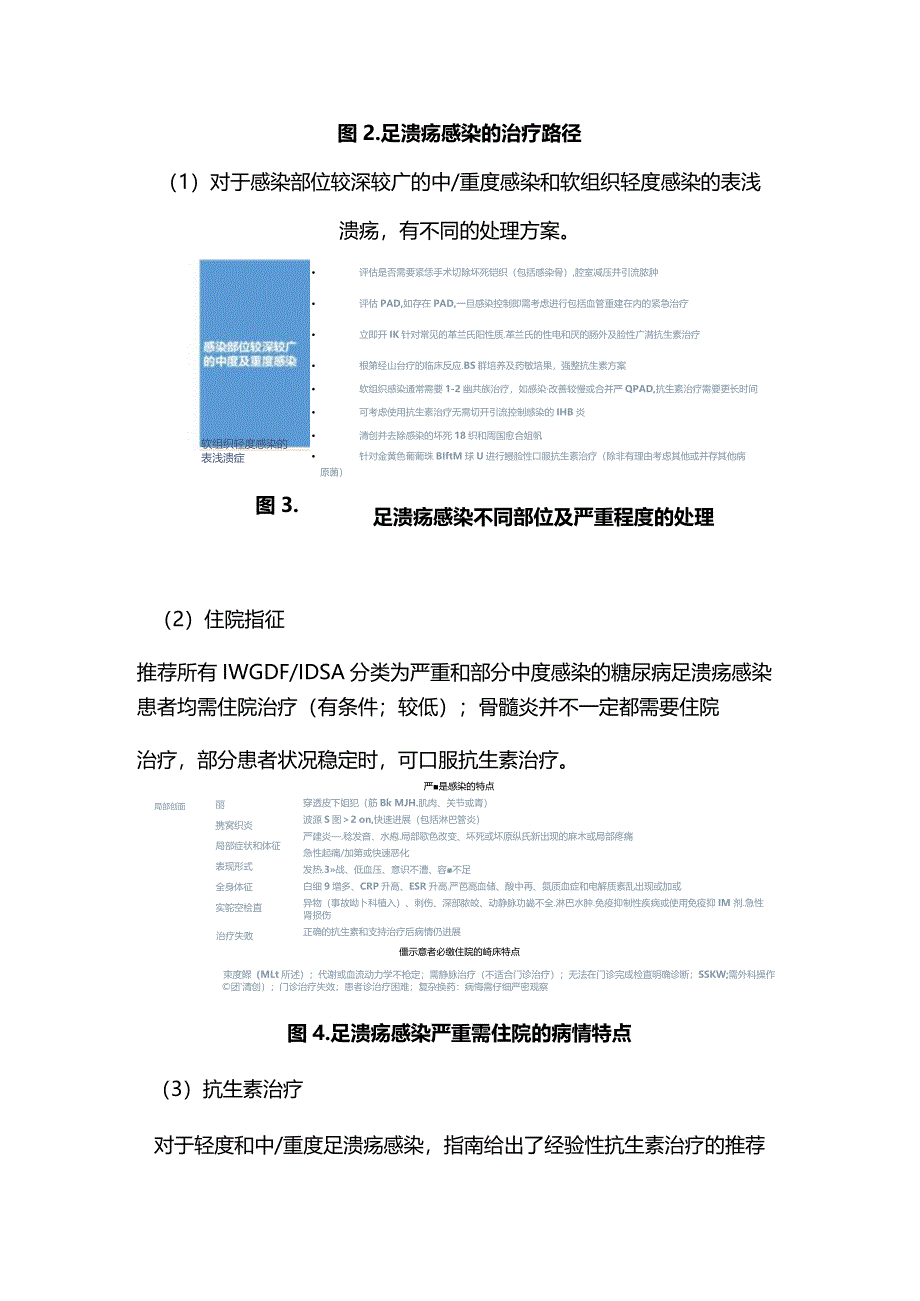 IWGDF糖尿病相关足病预防和管理指南2023重点内容.docx_第2页