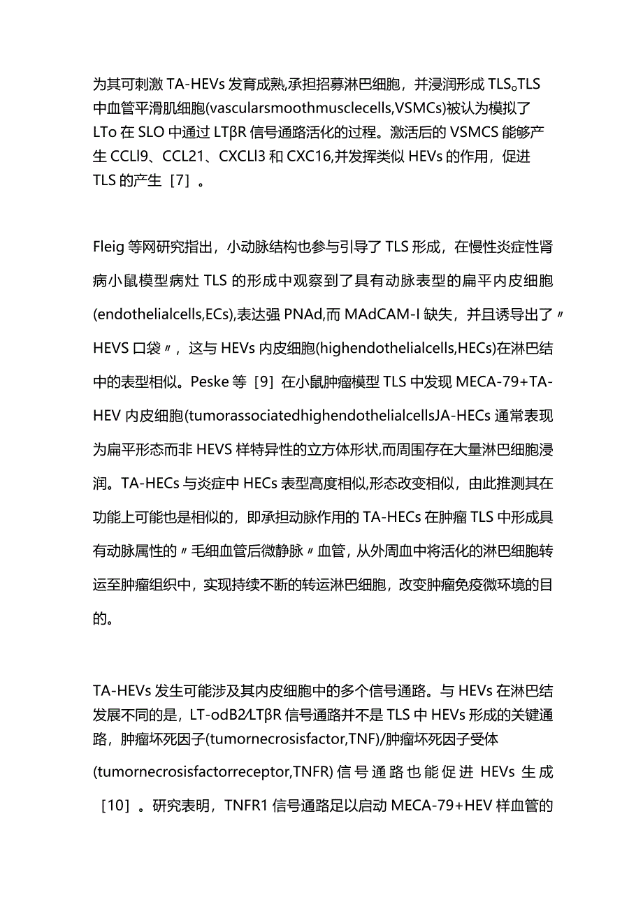 肿瘤相关性高内皮微静脉在肿瘤治疗中角色的研究进展2024.docx_第3页