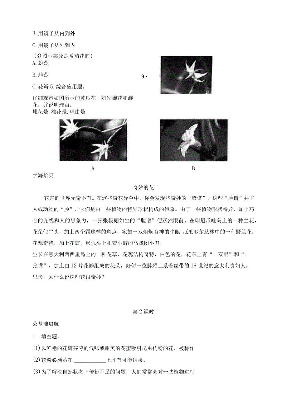 三年级科学下册（苏教版）【分层作业】1-3植物开花了同步练习（含答案）.docx_第3页