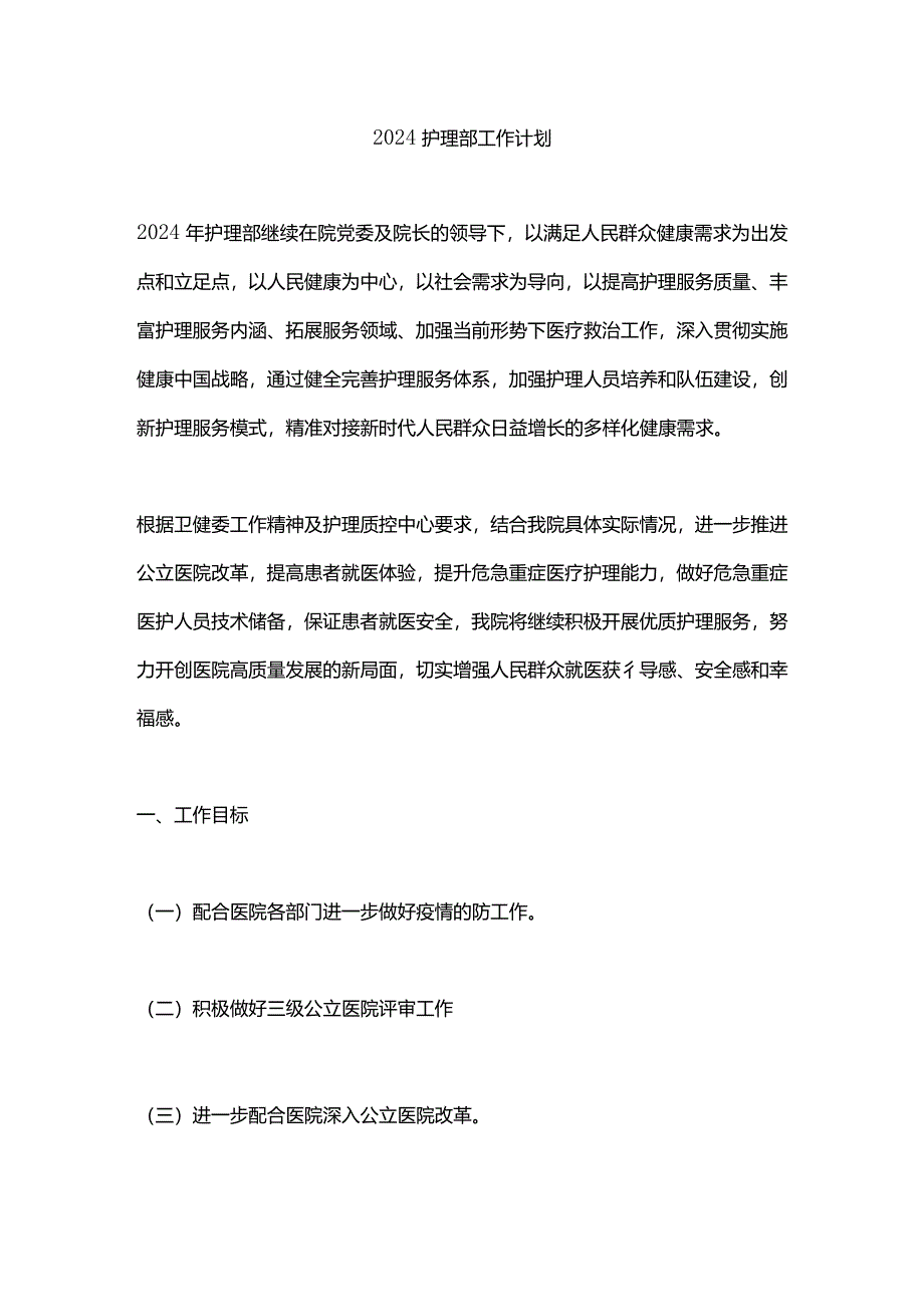 2024护理部工作计划.docx_第1页