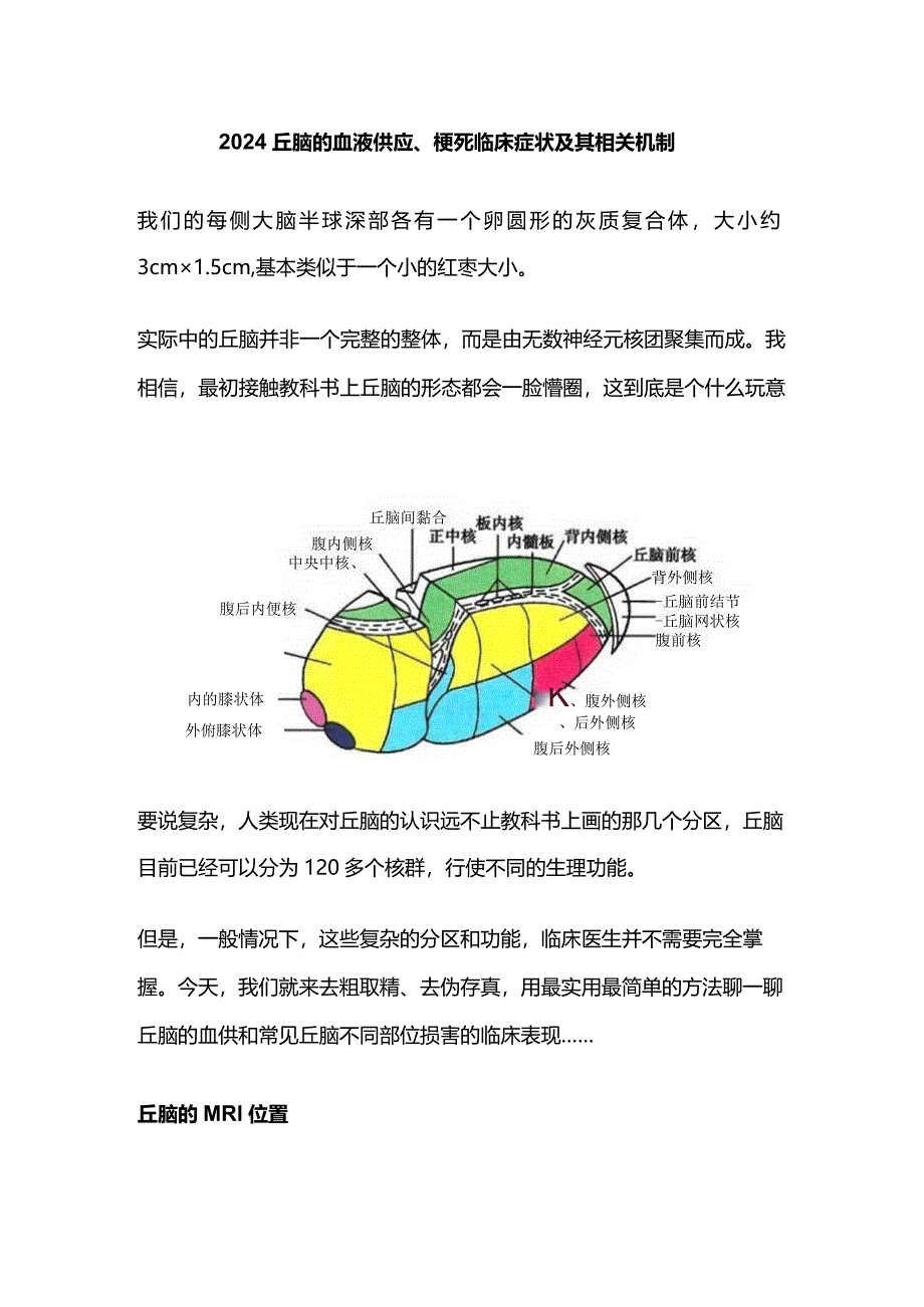 2024丘脑的血液供应、梗死临床症状及其相关机制.docx_第1页