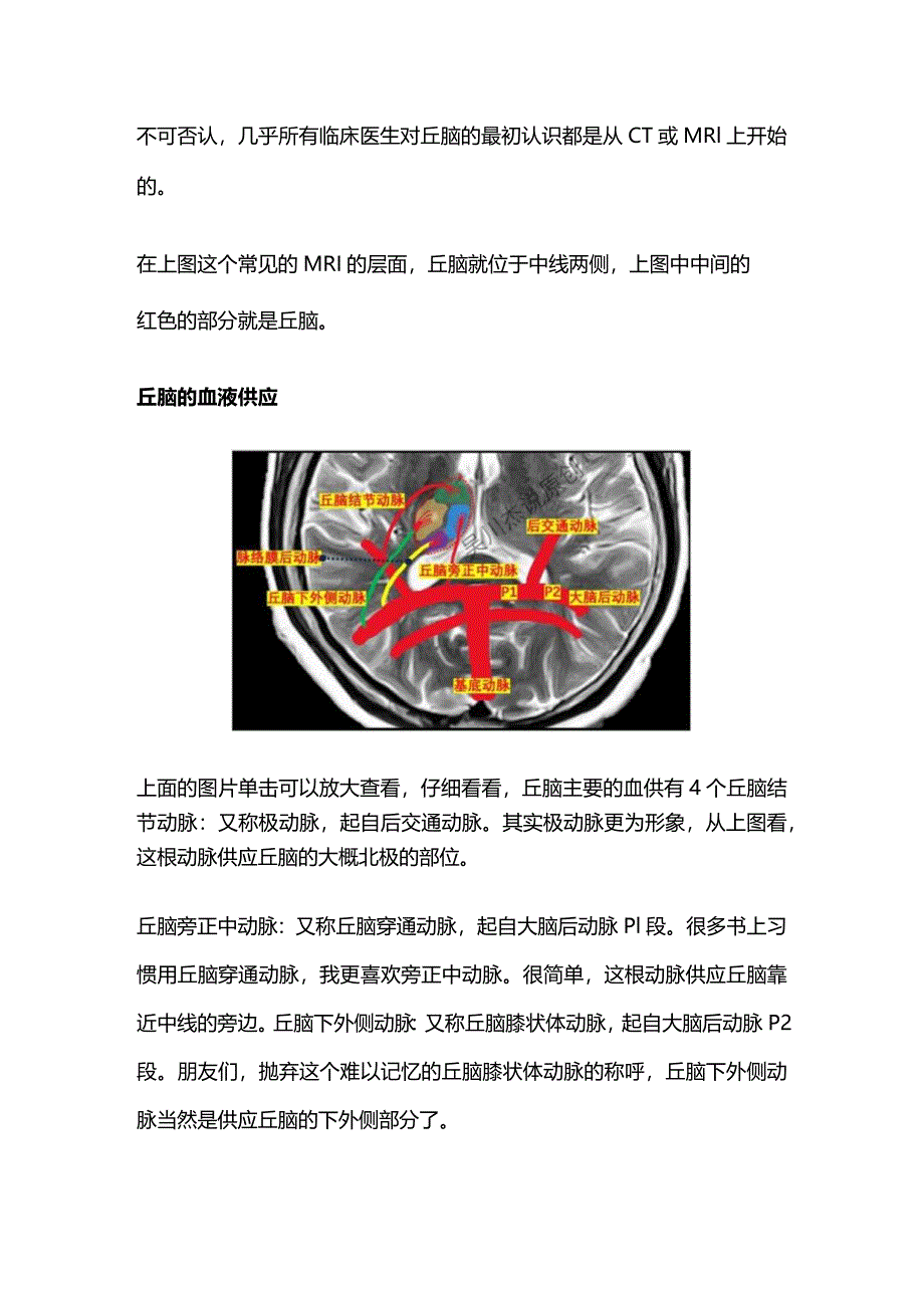 2024丘脑的血液供应、梗死临床症状及其相关机制.docx_第3页