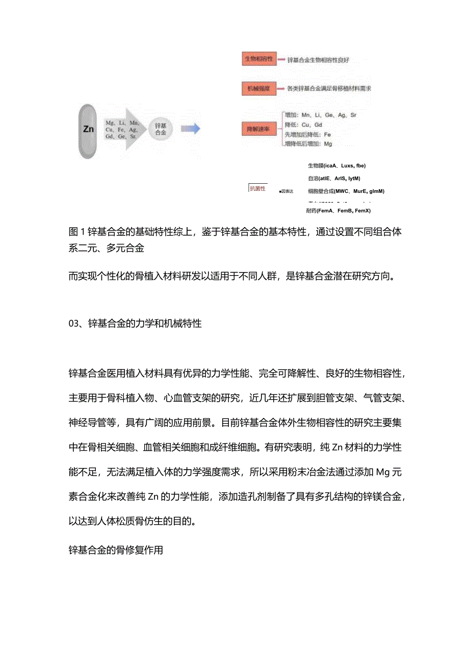 锌基合金在骨修复中的应用进展2024.docx_第3页