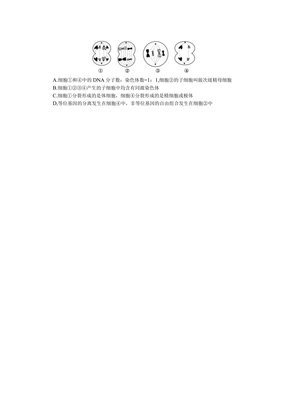 专练42减数分裂与有丝分裂的比较.docx_第2页