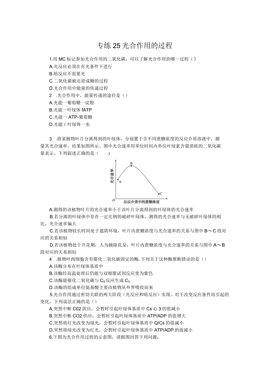 专练25光合作用的过程.docx_第1页