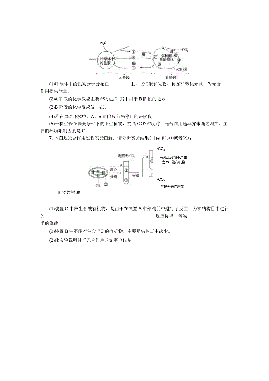 专练25光合作用的过程.docx_第2页