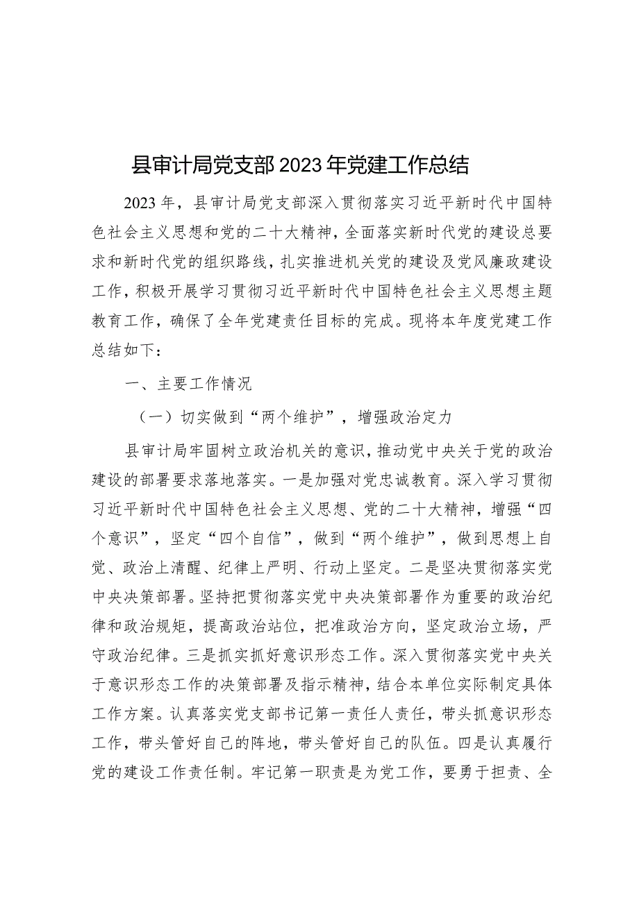 县审计局党支部2023年党建工作总结.docx_第1页