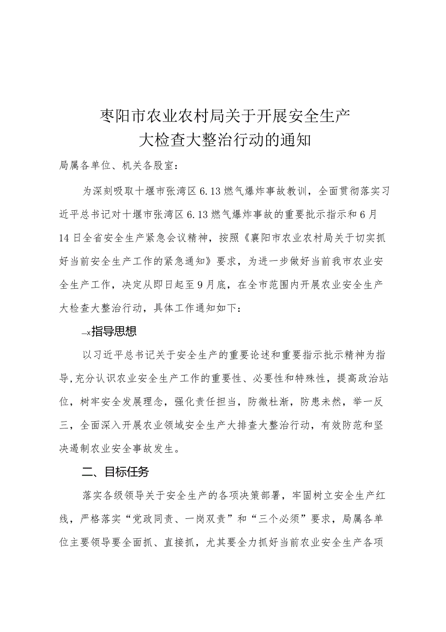 农业农村局安全生产大检查大整治方案.docx_第1页