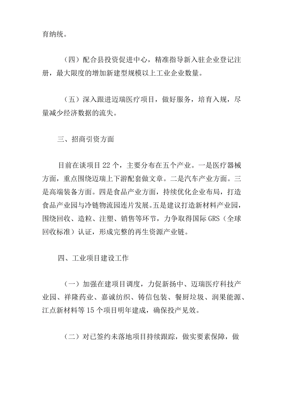 2024年XX经济开发区工作计划.docx_第2页