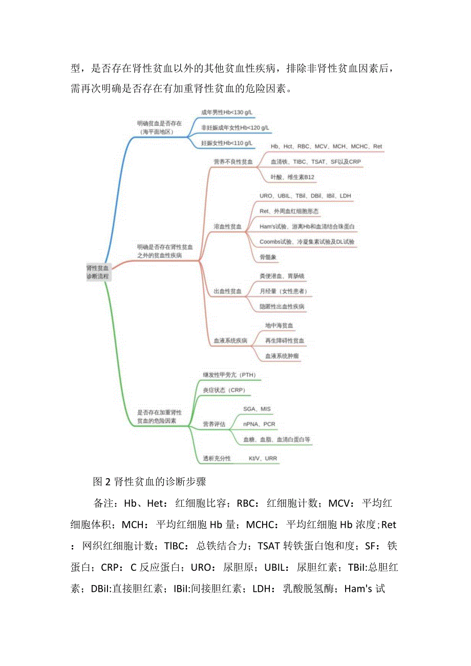 血红蛋白超标促红素作用、肾性贫血概念、诊断、治疗时机、靶目标、监测内容、治疗方案及贫血管理.docx_第2页