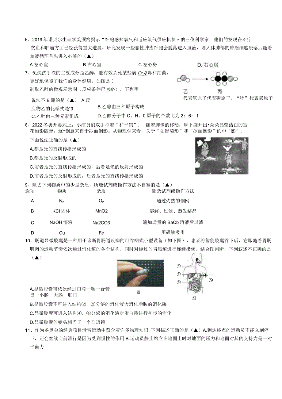 科学独立作业一（定稿）.docx_第2页