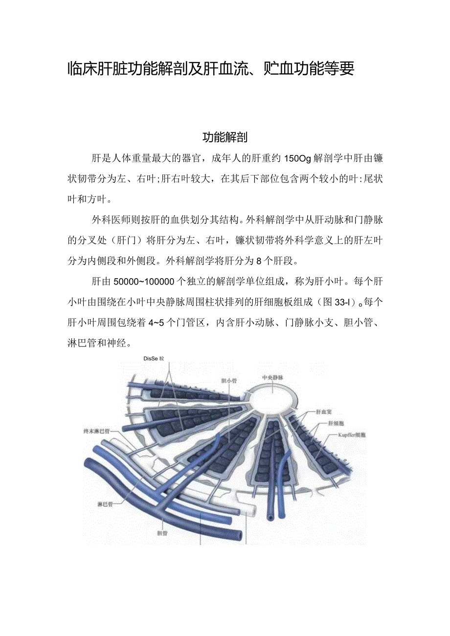 临床肝脏功能解剖及肝血流、贮血功能等要点.docx_第1页