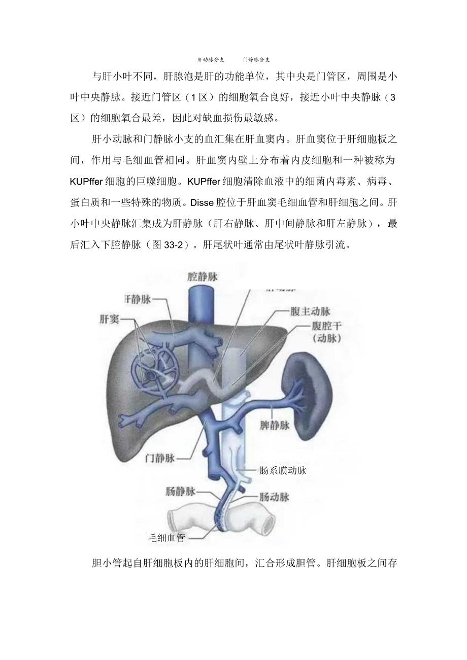 临床肝脏功能解剖及肝血流、贮血功能等要点.docx_第2页