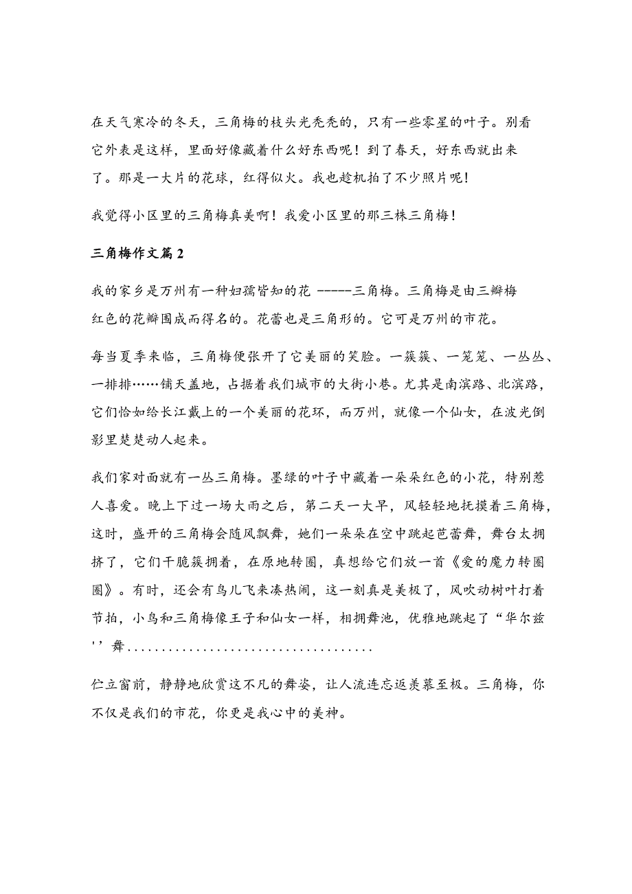 三角梅作文十七篇.docx_第2页