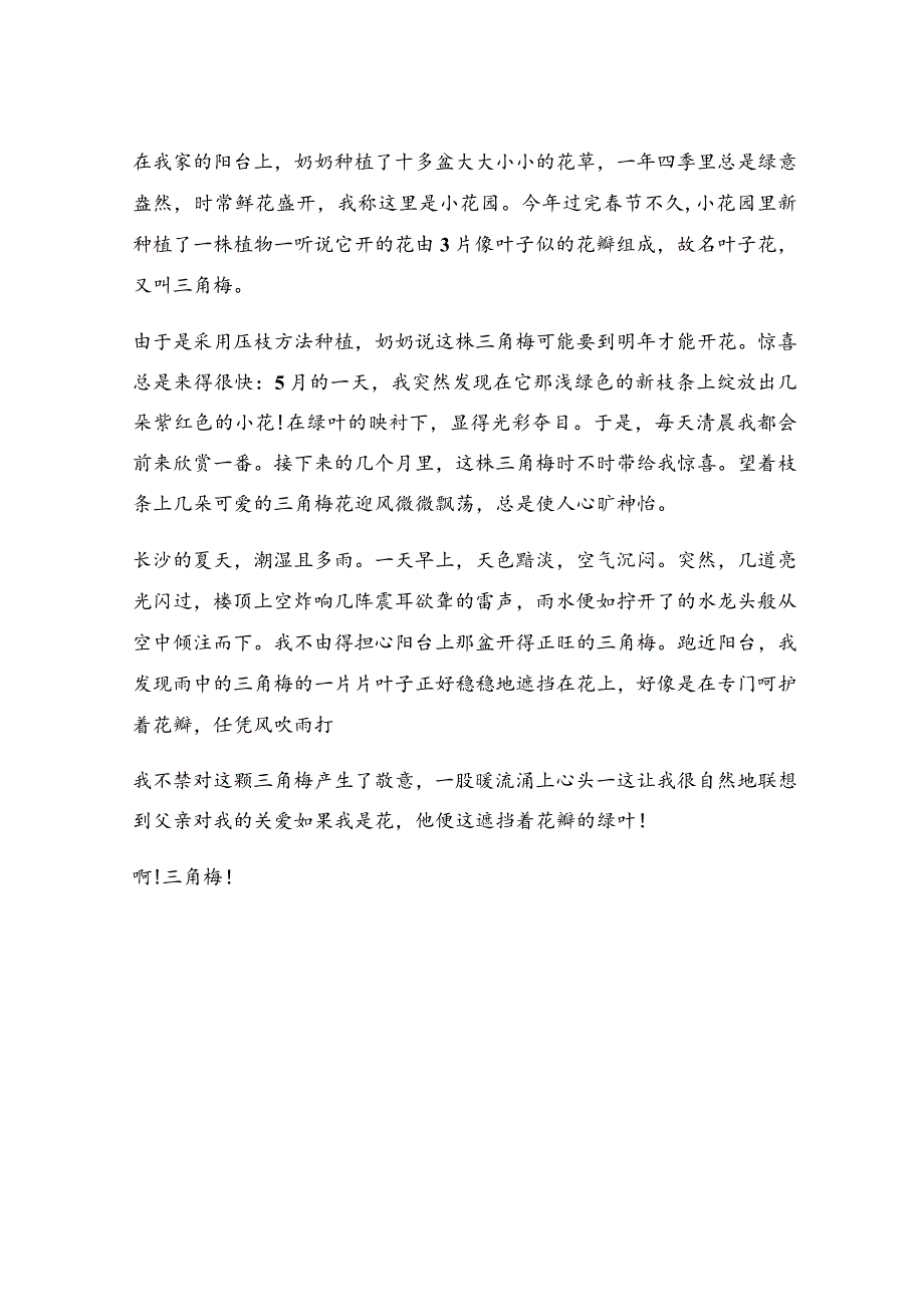 三角梅作文十七篇.docx_第3页