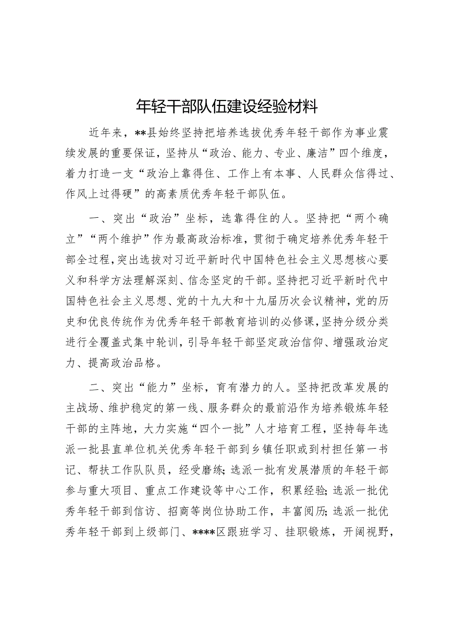 年轻干部队伍建设经验材料【】.docx_第1页