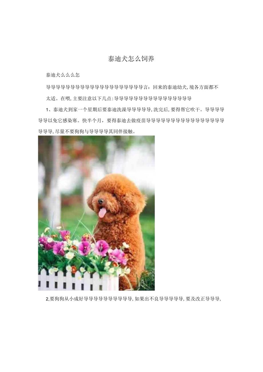 泰迪犬怎么饲养.docx_第1页