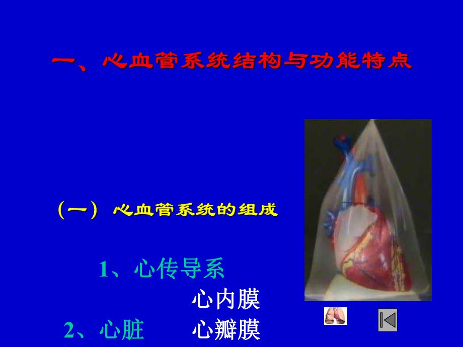 心血管疾病.ppt_第2页