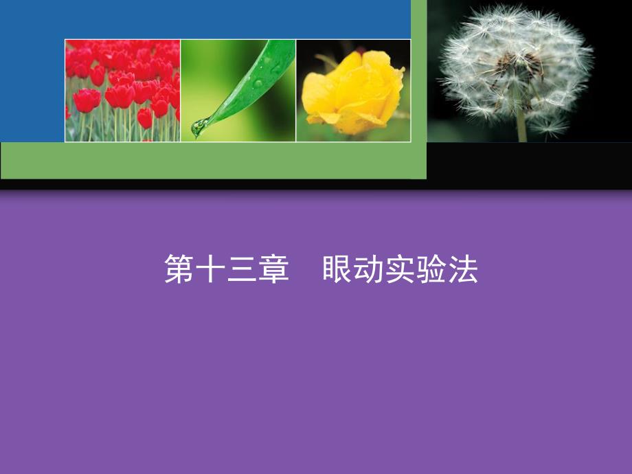 实验心理学第十三章眼动实验法.ppt.ppt_第1页