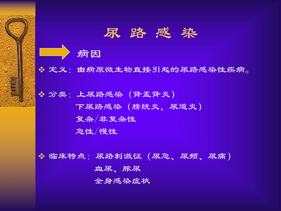 尿路感染.ppt_第2页