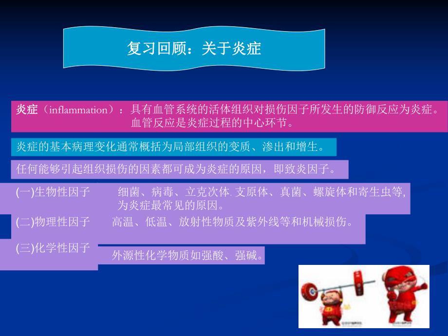 急性牙髓炎.ppt_第2页