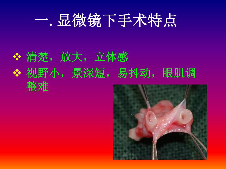 小血管吻合的基础训练ppt幻灯片.ppt_第2页