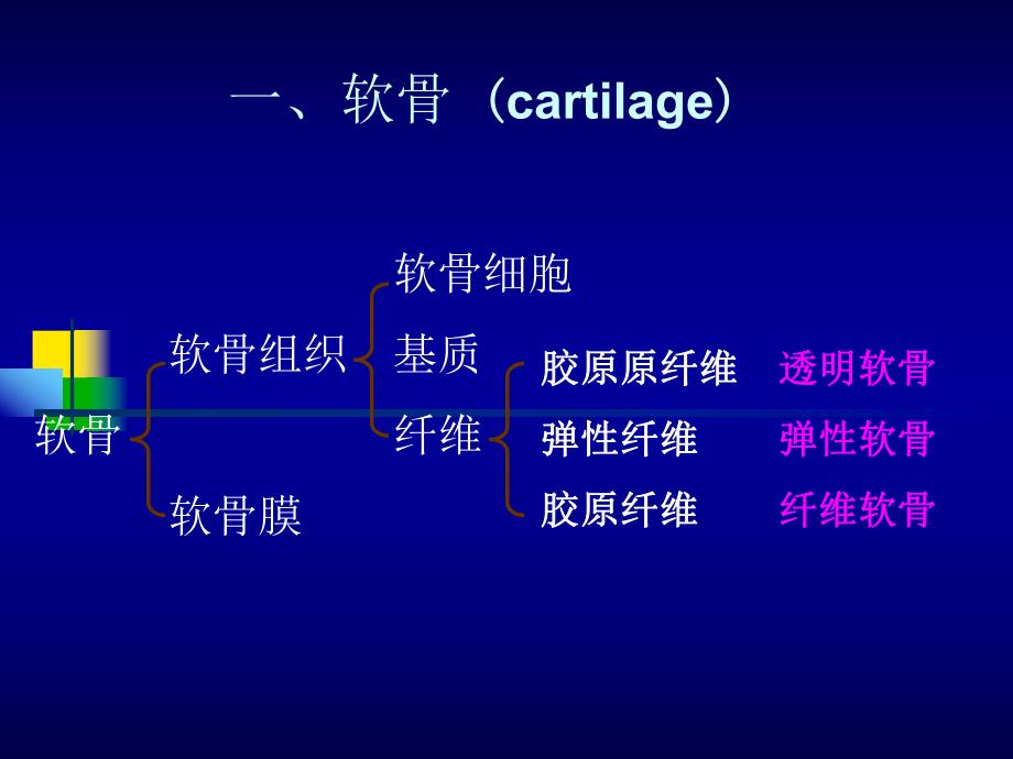 关节软骨的生物力学特性.ppt_第2页