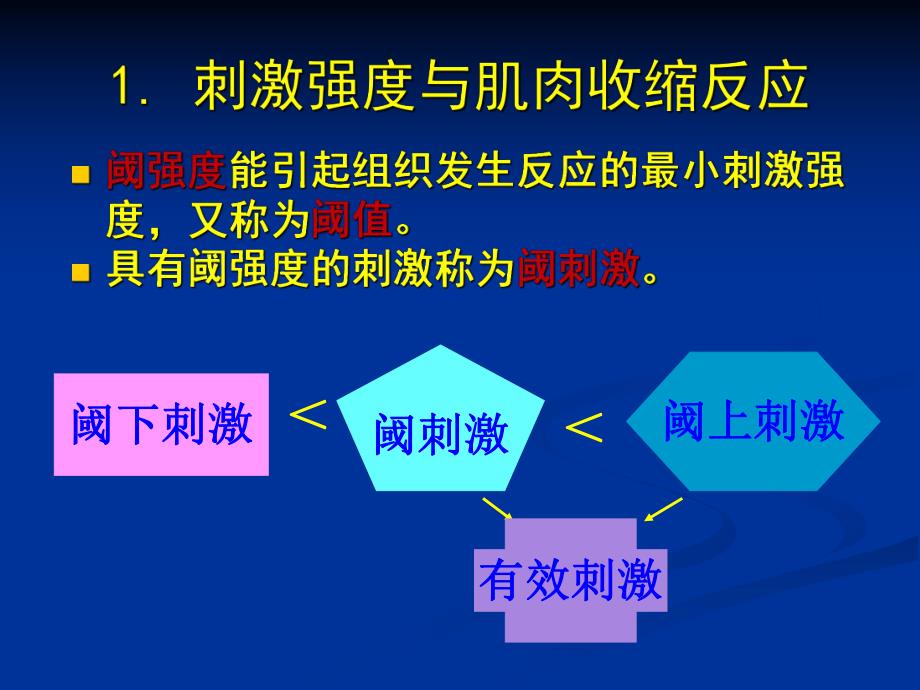 刺激强度、刺激频率与骨骼肌收缩的关系2mlh.ppt_第3页