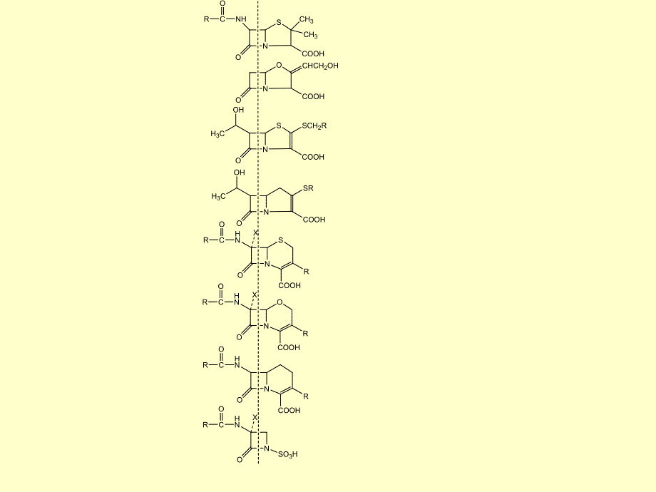 β内酰胺类抗生素及细菌耐药性.ppt_第2页