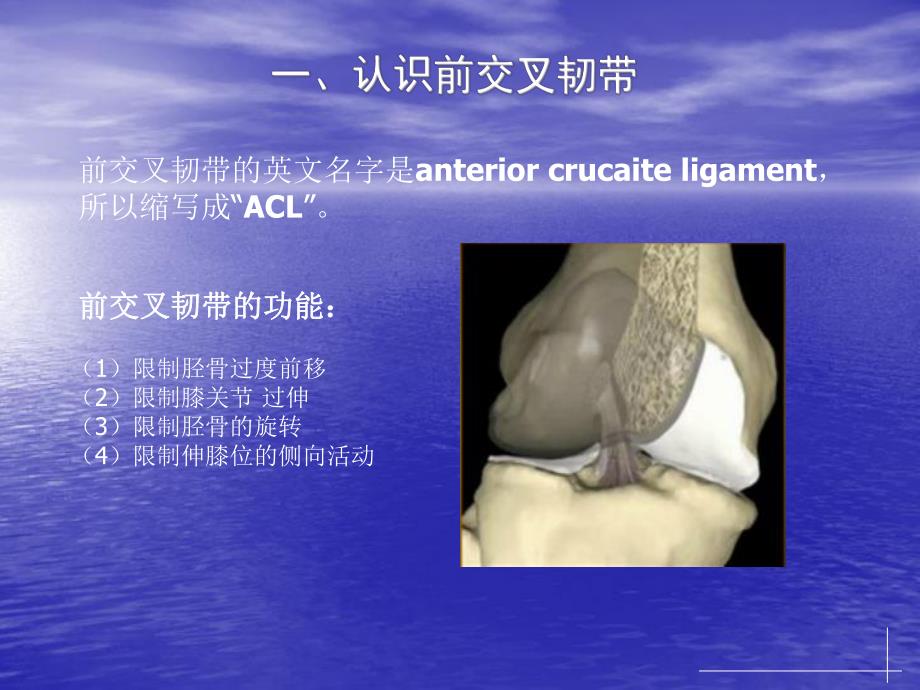 前交叉韧带重建术后康复.ppt.ppt_第3页