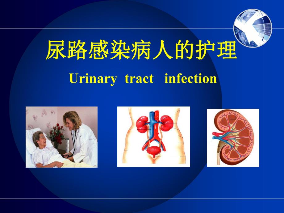 尿路感染病人护理.ppt_第1页