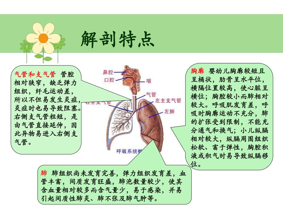 支气管哮喘护理查房.ppt_第3页