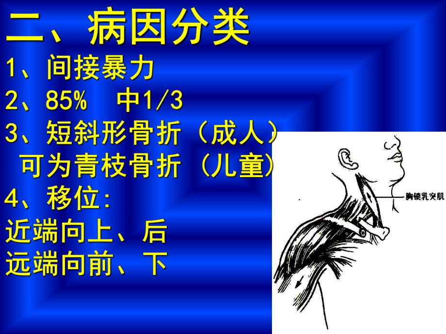 执业医师教学内容上下肢骨与关节损伤.ppt_第3页