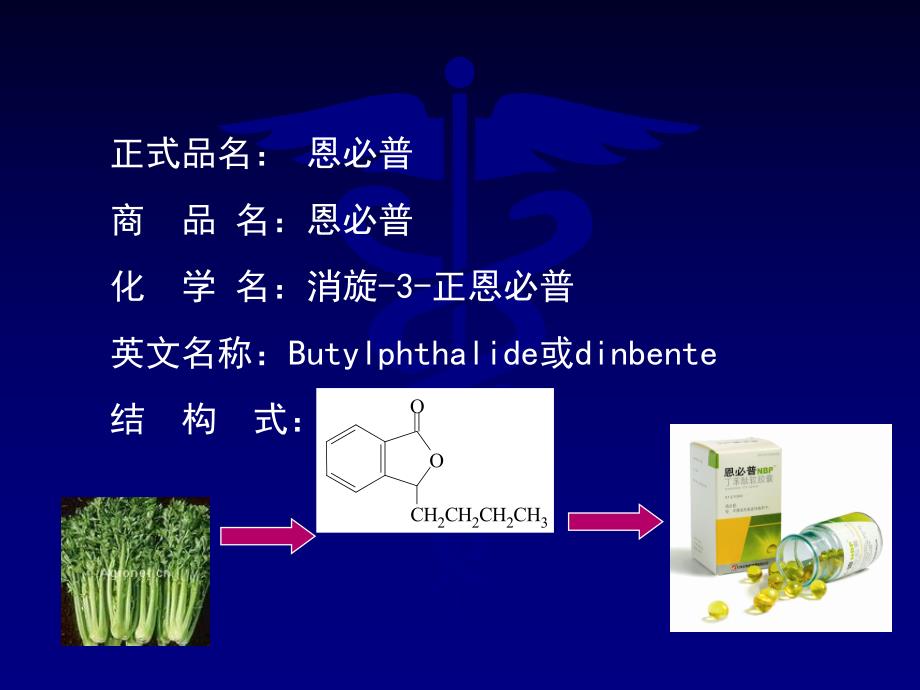 恩必普临床治疗新进展.ppt_第2页