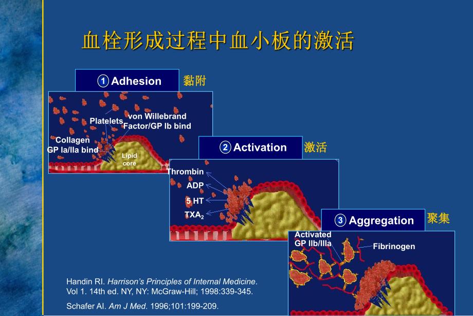 欣维宁(盐酸替罗非班)在急性冠脉综合症的临床应用床应用.ppt_第3页